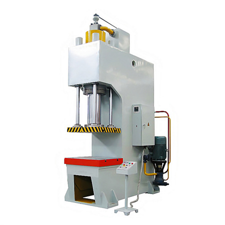 63/80/100 T Small C Frame/Single Column Alignment/Straightening/Bearing Samll Hydraulic Press