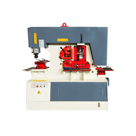 Hydraulic Iron Worker Manufacturer Universal Combined Cutting Punch Shear for Sale