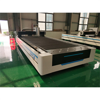 Nanjing Beke Best Selling 3020 1000W Ss Sheet Laser Cutting Machine Price