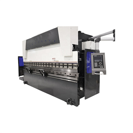 Psh CNC Hydraulic Servo Iron Steel Press Brake